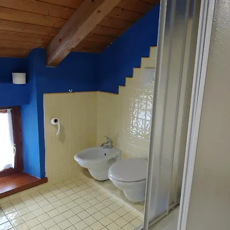 Danta-cortina * Danta