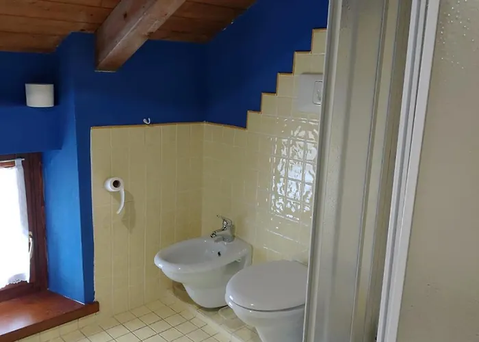 Danta-cortina * Danta